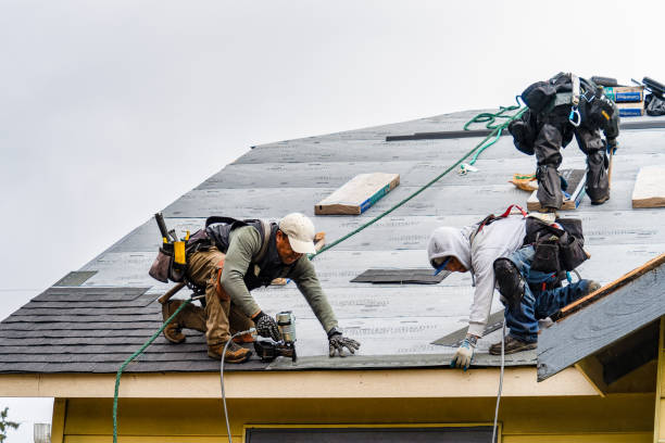 Professional Gutter Installation technician working in Meldrim, GA
